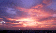 夕焼け