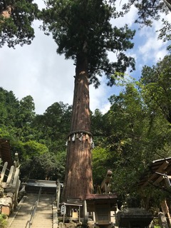 由岐神社2