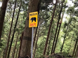 熊