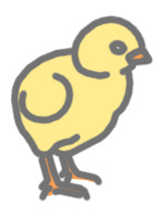 ひよこ1