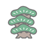 Pine