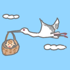 Stork