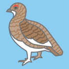 炢Ă