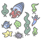 昆布と仲間達