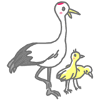 Crane